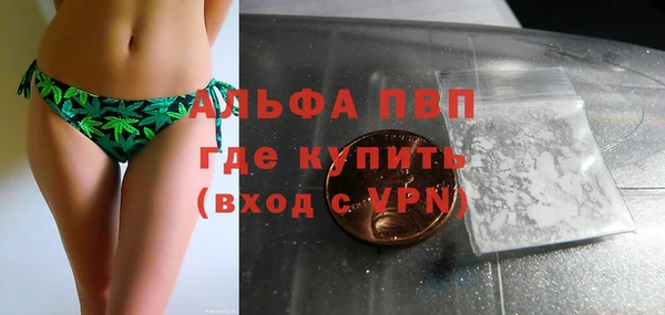 индика Белокуриха