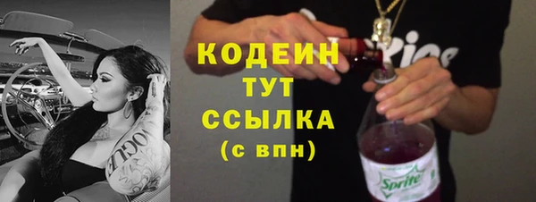 индика Белокуриха