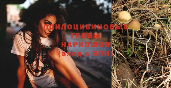 ГАЛЛЮЦИНОГЕННЫЕ ГРИБЫ Белоозёрский