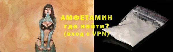 индика Белокуриха