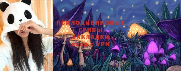 индика Белокуриха