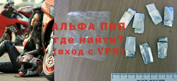 индика Белокуриха