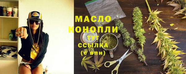 индика Белокуриха