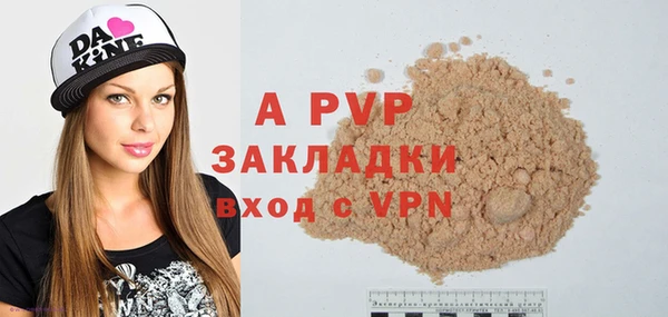 индика Белокуриха