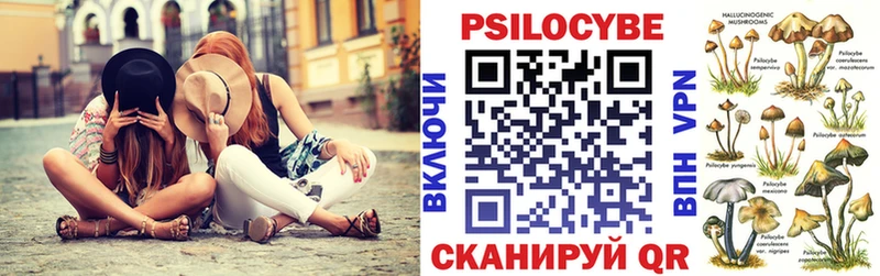 Галлюциногенные грибы Psilocybe  Горячий Ключ 